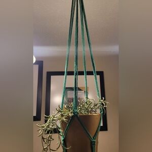 Macrame Plant Hanger ( Jade )